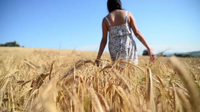 Woman walking in a yellow wheat field
