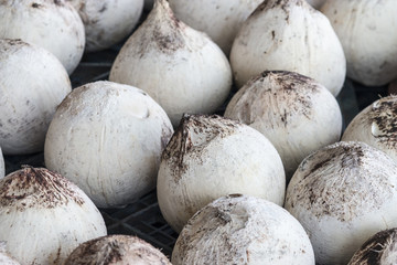 Coconut burn for drink at retail market