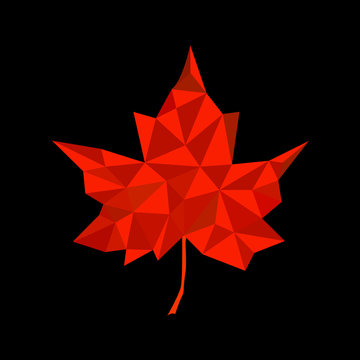 Maple leaf in triangular style. Vector illustration. Eps 10