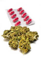 Canabis terapétuico