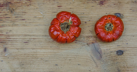 Herbst Deko