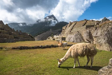 Foto op Plexiglas Machu Picchu, UNESCO World Heritage Site. One of the New Seven W © javarman