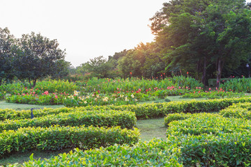 Tropical flower garden in Queen Sirikit Park