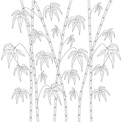 Pattern for coloring book. Background with bamboo stems