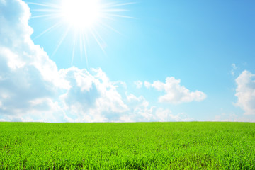 Bellissima collina verde con cielo azzurro, nuvole e sole splendente 