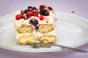 Fruits Tiramisu
