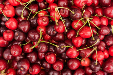 Red Cherries.  Cherry selection. ripe berries cherries