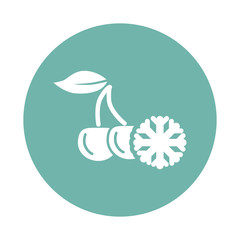 Frozen cherry icon