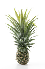 fresh pineapple