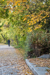 autumn view of trail on the river bank with green trees