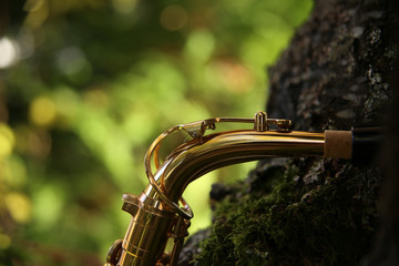 Saxophon Musik Instrument