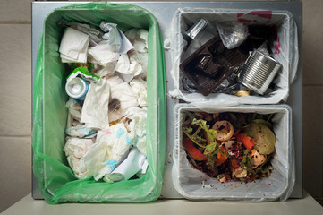 Recycling bins
