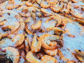 Prawns in ice