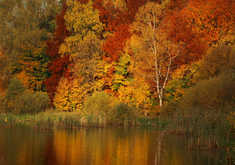 Autumn colorful lake