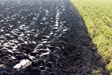 Agricultural plowed field in autumn sunshine