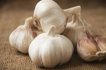 Garlic close-up on sacking. burlap background