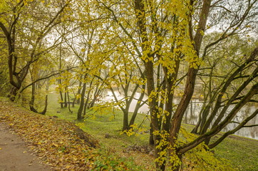 Beautiful autumn river landscape. River "Pskova" Pskov.

