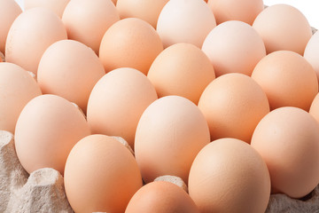 cardboard tray with eggs