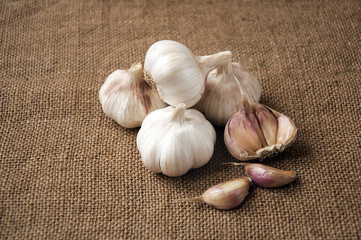 Garlic close-up on sacking. burlap background