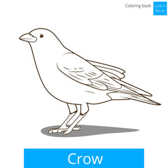 Crow learn birds coloring book vector