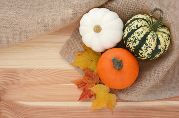 Three autumn gourds with maple leaves