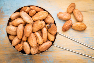 raw organic cacao beans