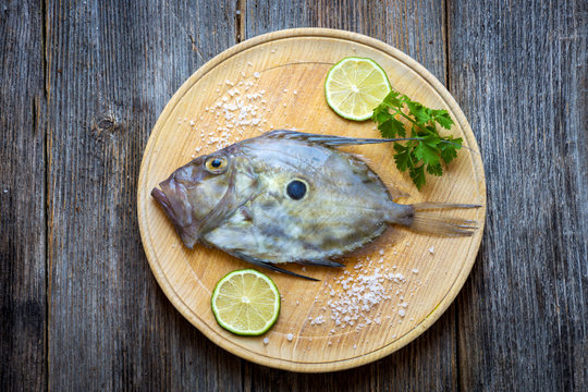 John Dory