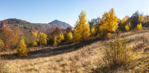 Fototapeta na wymiar Autumn in Carpathian Mountains