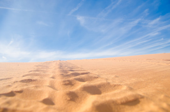 Coral Pink San Dunes, Utah 