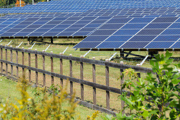 Alternative energy produced by ground mounted solar panel array