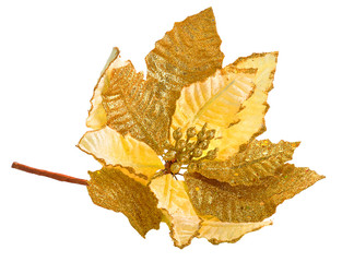 Naklejka premium gold leaf
