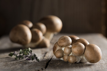 Baby bella mushrooms