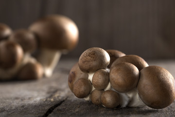 Baby bella mushrooms