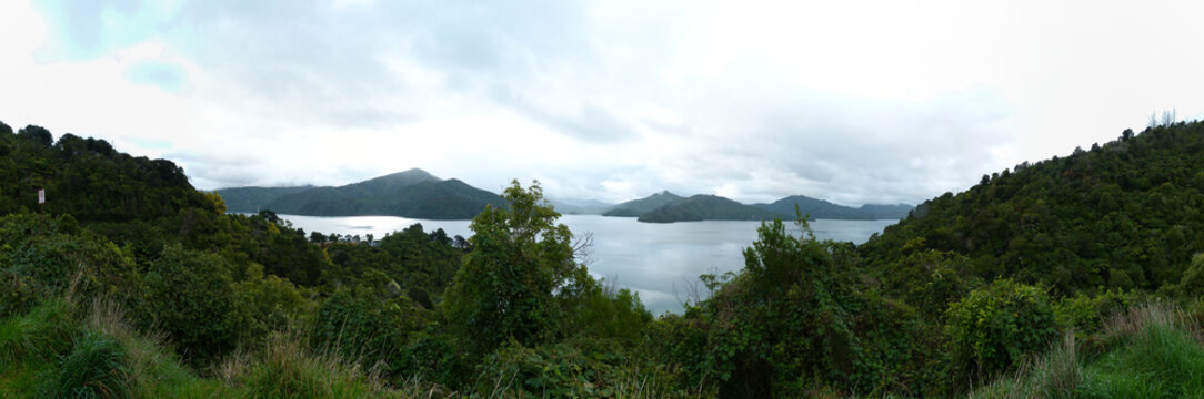 Die K&uuml;sten am Queen Charlotte Drive - Malborough Lands