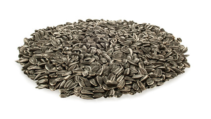 sunflower, big seeds