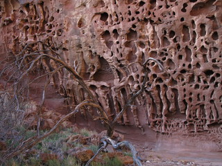 Honeycomb gorge at Kennedy Ranges National Park, Western Australia
