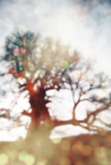 Abstract nature background
