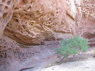 Honeycomb gorge at Kennedy Ranges National Park, Western Australia
