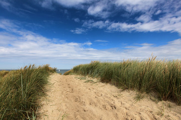trail to the beach - coast and dune near domburg, netherlands