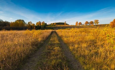 Obraz premium Beautiful autumnal landscape with grassland, trees and road