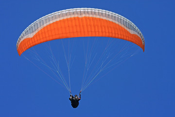 Paraglider
