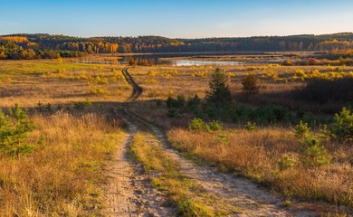 Beautiful autumnal landscape with grassland, trees and road