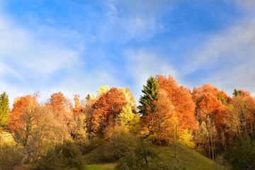 Fototapeta premium Autumn landscape