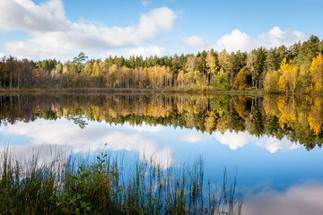 Fototapeta na wymiar Reflection of autumn colored trees in the lake
