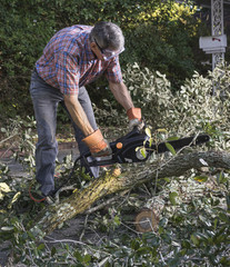 Man Cutting Tree Branches with Chainsaw