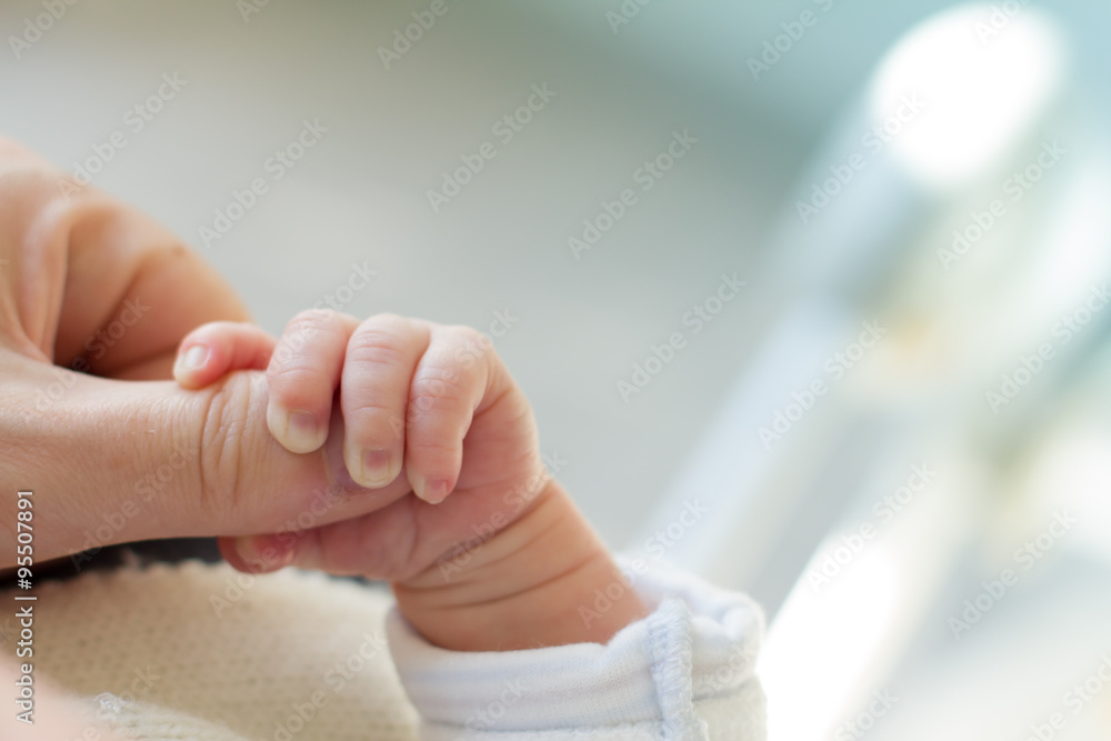 Wall mural newborn baby touching his mother hand