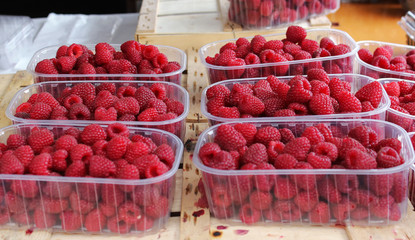 Fresh raspberries