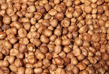 Raw hazelnuts