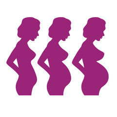 Fototapeta na wymiar collection of pregnant women