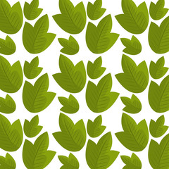 Leaf and leaves ecology graphic 